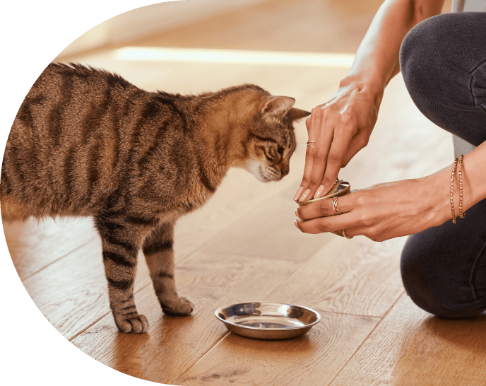 Nutritional Counseling